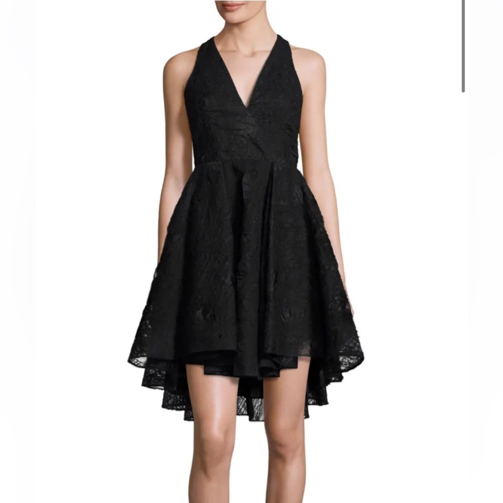 Milly Black Cynthia Sleeveless Organza Fit-and-Flare Mini Dress